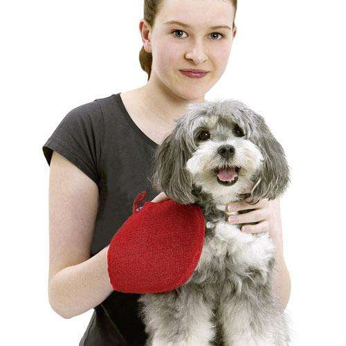Pflegehandschuh für Hunde und Katzen – Perfect Care Brush & Clean