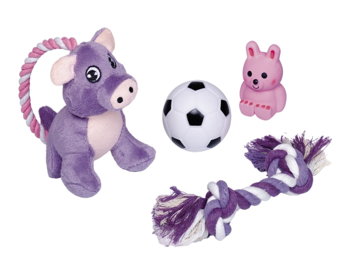 Welpenspielzeug – Puppy Starter 4 teilig