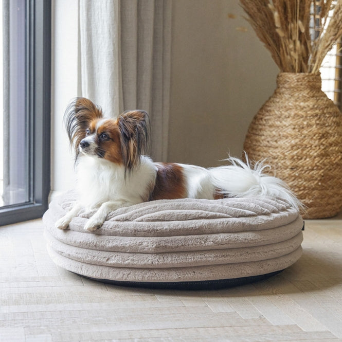 Hundebett – Designed by Lotte Reza – Bild 20