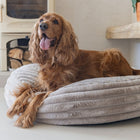Hundebett – Designed by Lotte Reza – Bild 26