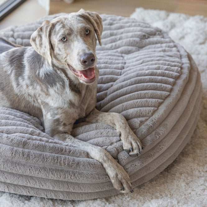 Hundebett – Designed by Lotte Reza – Bild 32