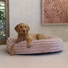 Hundebett – Designed by Lotte Reza – Bild 14