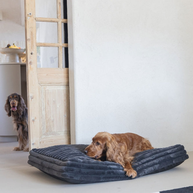 Hundekissen – Designed by Lotte Reza – Bild 2
