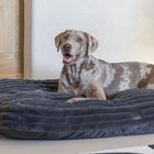 Hundekissen – Designed by Lotte Reza – Bild 8