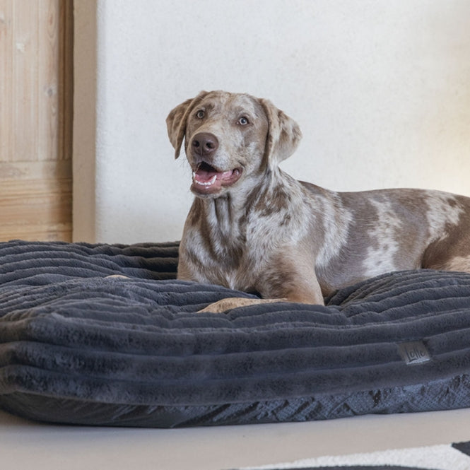 Hundekissen – Designed by Lotte Reza – Bild 8