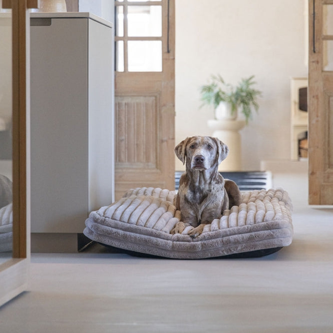 Hundekissen – Designed by Lotte Reza – Bild 20