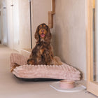 Hundekissen – Designed by Lotte Reza – Bild 26