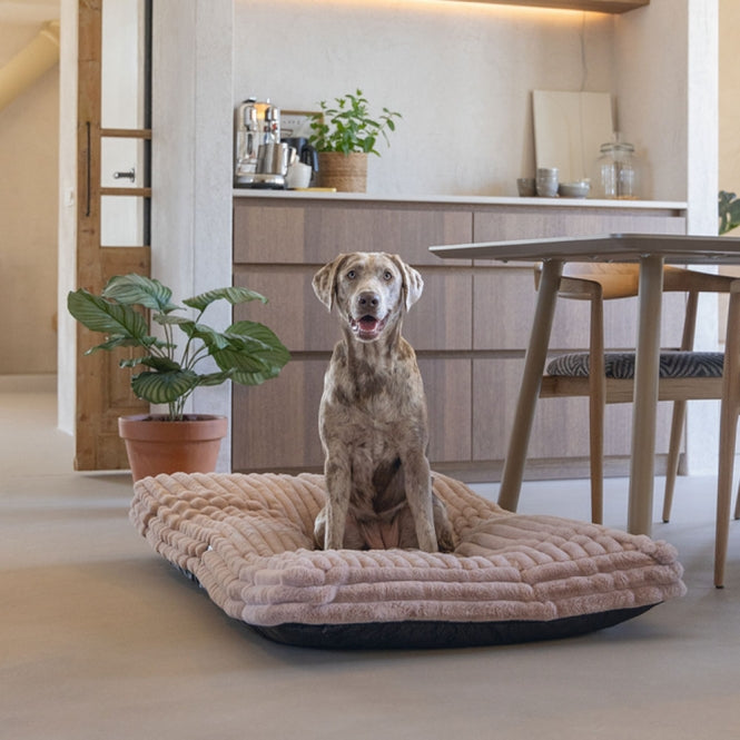 Hundekissen – Designed by Lotte Reza – Bild 32