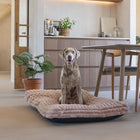 Hundekissen – Designed by Lotte Reza – Bild 32