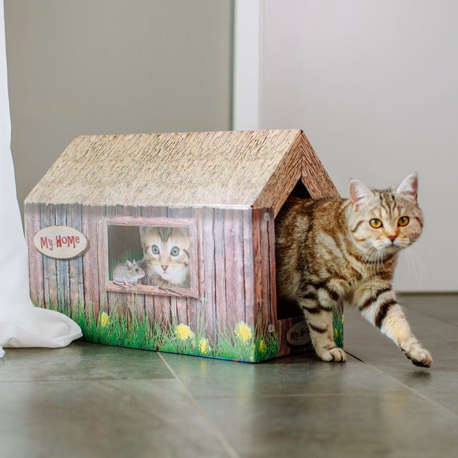 Katzenhaus – aus Karton – Bild 4