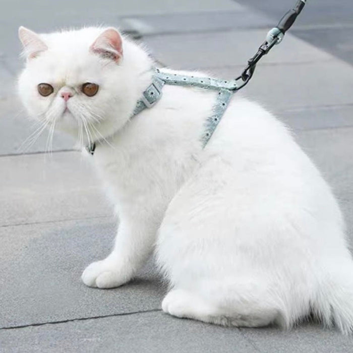 Japanese cat harness-0
