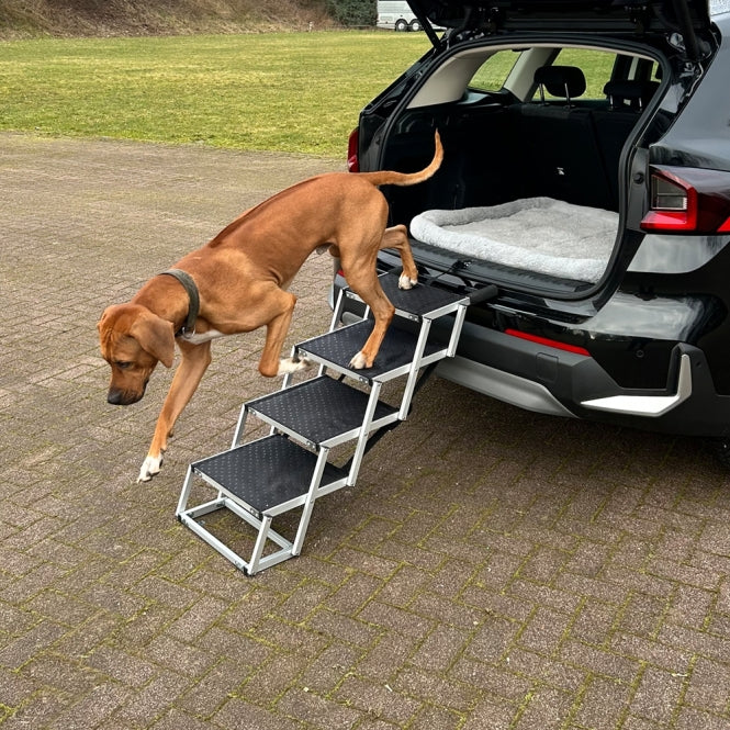 Falt-Treppe für Hunde – Aluminium 4-stufig – Bild 4
