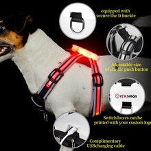 LED Hundeweste – Leuchtende Sicherheitsweste für Hunde bei Nacht