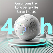 Interactive Dog Toy Ball - Grey Striped