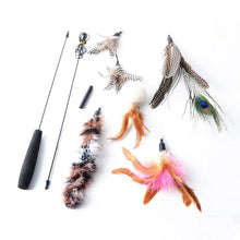 Feather Frenzy Cat Teaser: The Ultimate Interactive Playtime Experience