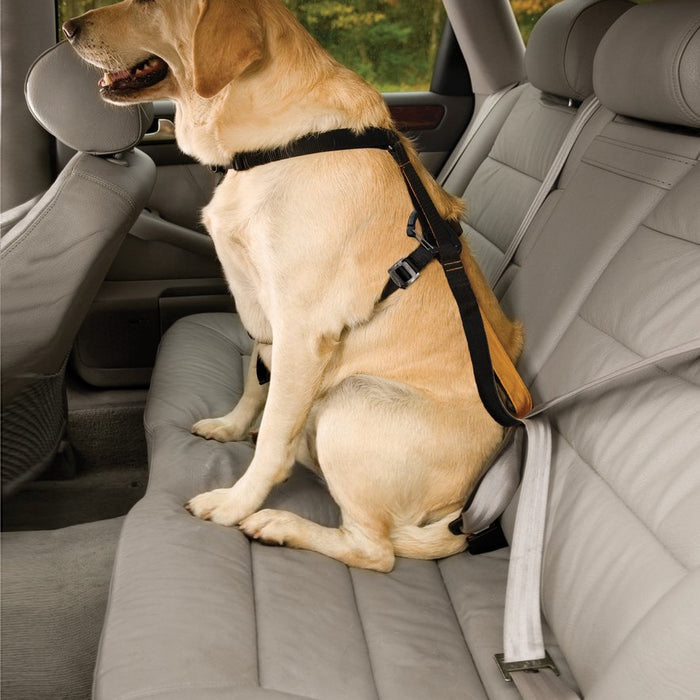 Kurgo dog harness tru-fit smart harness nylon black size xs-0