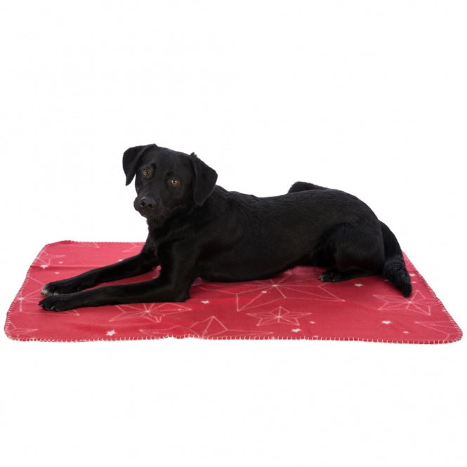 Fleecedecke für Hunde – Xmas Luciano – Bild 5
