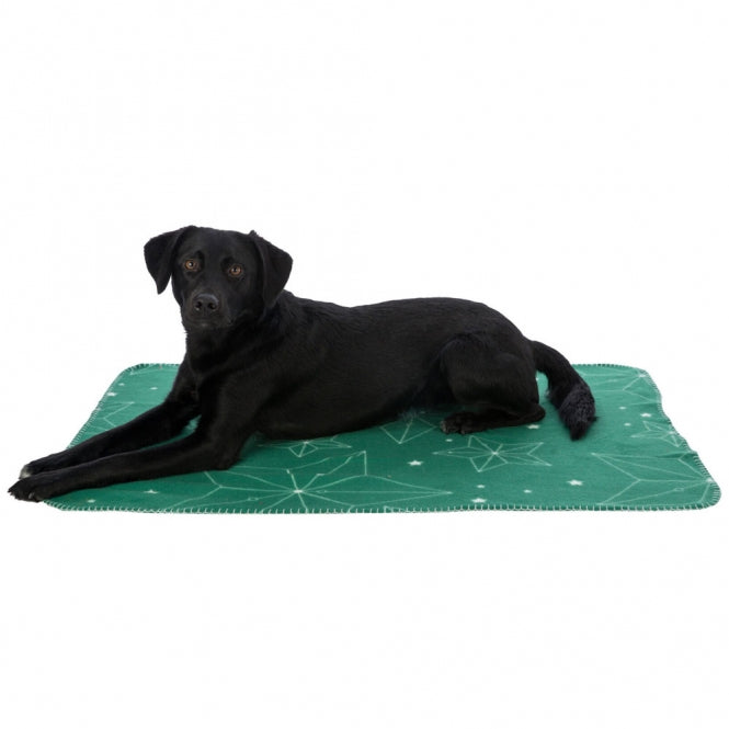 Fleecedecke für Hunde – Xmas Luciano – Bild 6