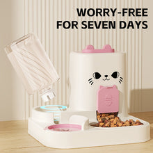 Automatic Cat Feeder And Water Dispenser Set