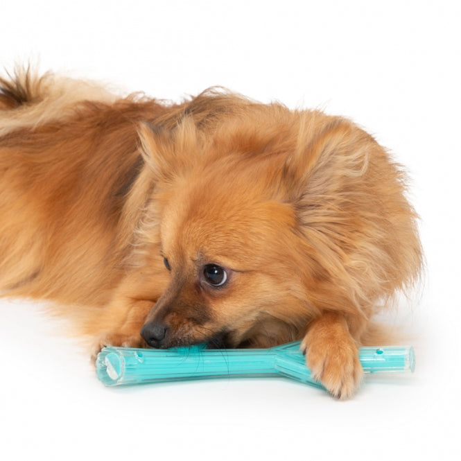 Intelligenzspielzeug für Hunde – Duo (klein) mit Hühnchenduft, 23 cm – Bild 4