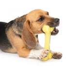 Knochen für Hunde – Duo mit Kokosnussduft – Bild 4