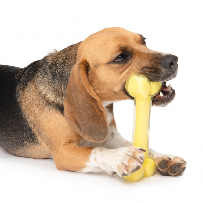 Knochen für Hunde – Duo mit Kokosnussduft – Bild 4