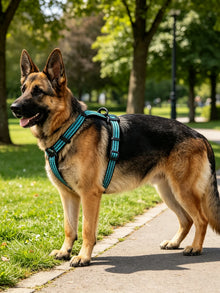 Size M Dog Harness - Reflective Nylon Pet Vest - Secure Adjustable Walking Safety Gear
