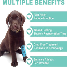 Pet Red Light Therapy Device – Cold Laser Therapy Device with Dual 808nm Infrared Light for Dogs, Cats & Horses