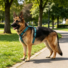Size M Dog Harness - Reflective Nylon Pet Vest - Secure Adjustable Walking Safety Gear