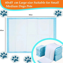 Pet Transport Stretcher – Foldable Waterproof Dog & Cat Rescue Carrier, Supports up to 55 kg