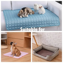 Summer Cooling Mat for Dogs & Cats – Breathable Washable Pet Cooling Pad