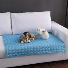 Summer Cooling Mat for Dogs & Cats – Breathable Washable Pet Cooling Pad