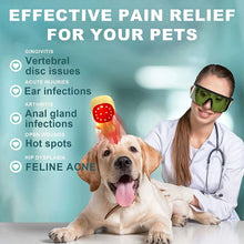 Pet Red Light Therapy Device – Cold Laser Therapy Device with Dual 808nm Infrared Light for Dogs, Cats & Horses