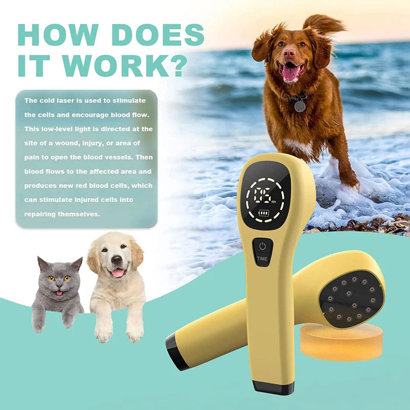 Cold Laser Therapy Vet Device for Pets 2x808nm Red Light Therapy Devices for Pain Relief Home Light Therapy for Dogs Cats Horses