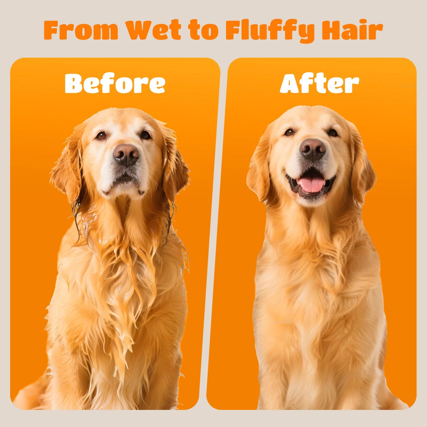 Nobleza Pet Blower Professional Dog Dryer 2000W, Pet Hair Dryer with 4 Nozzles, 3 Speeds and Adjustable Temperature, 2m Extendable Hose, Ideal for Grooming Salons and Homes