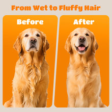 Pet Hair Dryer – Professional 2000W Dog Blower with 4 Nozzles, 3 Speeds & Adjustable Temperature