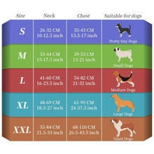 LED Hundeweste – Leuchtende Sicherheitsweste für Hunde bei Nacht