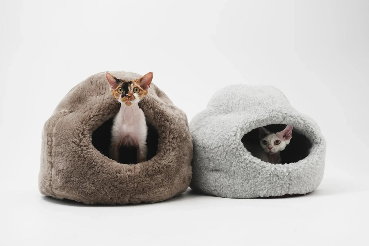 Nest Natural Woolen Pet Bed - White-2