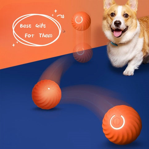 Robuste Gummibälle für Hunde