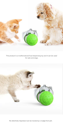 Toy For Pet Dog Toy Swing Car Toy Pet
