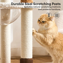 Scratching Post Cat Tree Flower Multi-Level Cat Climbing Frame with Space Capsule