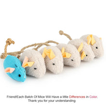 Natural Plush Catnip Mice: Because your daily devotion is measured in the safe, joyous, and mindful moments you create for them.