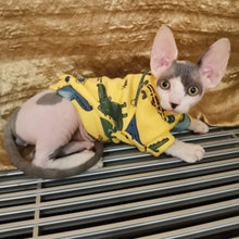 Sweet Pet Clothes - Warm Winter Hoodie Sweater for Cats Sphynx Kittens & Small Dogs