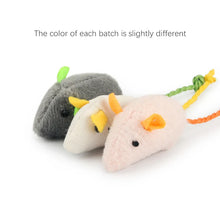Natural Plush Catnip Mice: Because your daily devotion is measured in the safe, joyous, and mindful moments you create for them.