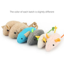 Natural Plush Catnip Mice: Because your daily devotion is measured in the safe, joyous, and mindful moments you create for them.