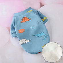Sweet Pet Clothes - Warm Winter Hoodie Sweater for Cats Sphynx Kittens & Small Dogs