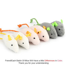 Natural Plush Catnip Mice: Because your daily devotion is measured in the safe, joyous, and mindful moments you create for them.