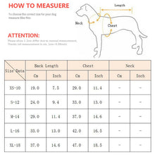 Sweet Pet Clothes - Warm Winter Hoodie Sweater for Cats Sphynx Kittens & Small Dogs