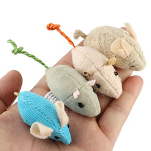 Natural Plush Catnip Mice: Because your daily devotion is measured in the safe, joyous, and mindful moments you create for them.