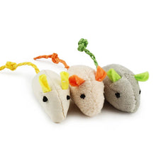 Natural Plush Catnip Mice: Because your daily devotion is measured in the safe, joyous, and mindful moments you create for them.